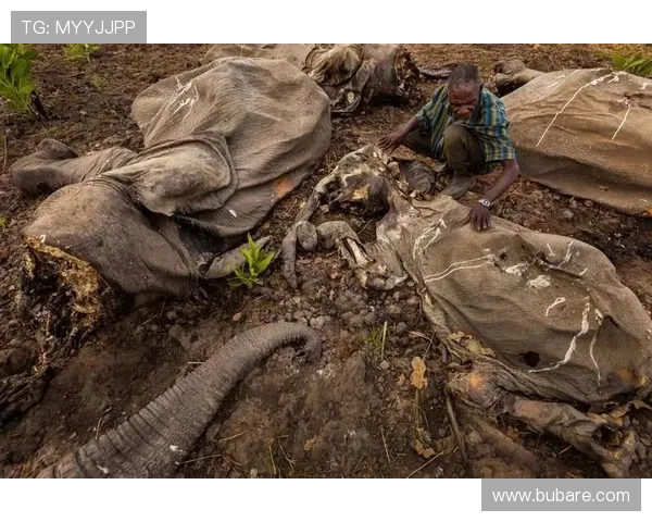 血流成河：灾难现场血腥场面令人心碎的真实记录