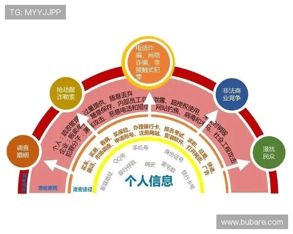 九游体育登录入口网页版安全登录方法，保障个人信息安全，提供多重验证确保账户安全
